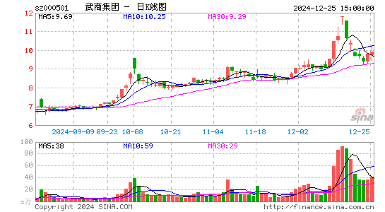 武商集团