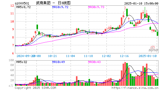 武商集团