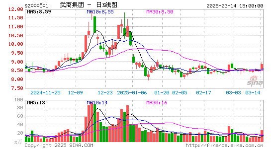 武商集团