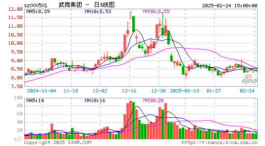 武商集团