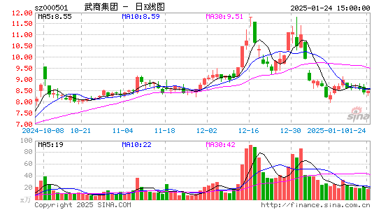 武商集团