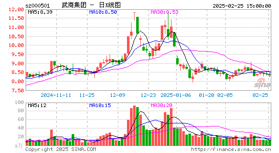 武商集团