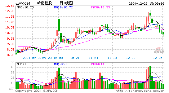 岭南控股