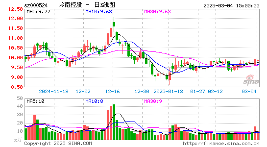 岭南控股