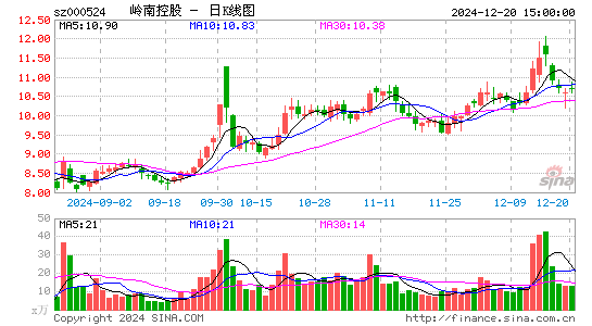 岭南控股