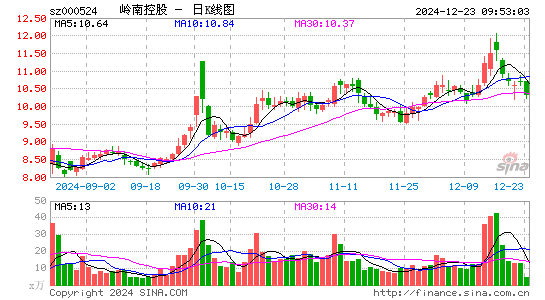 岭南控股