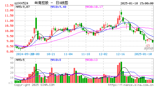 岭南控股