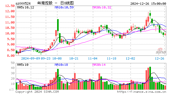 岭南控股