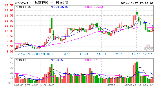 岭南控股