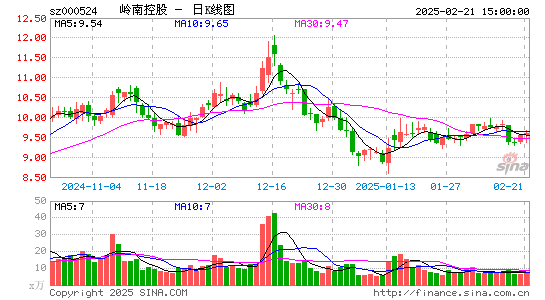 岭南控股