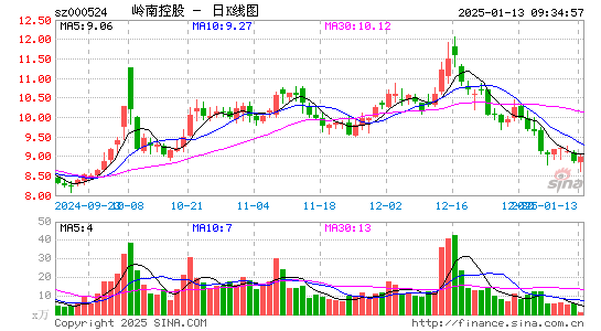 岭南控股