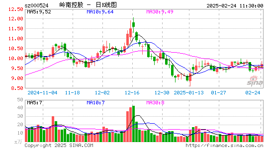 岭南控股