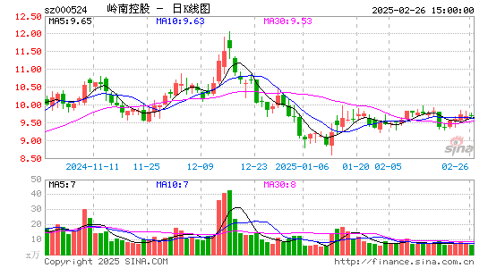 岭南控股