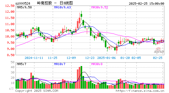 岭南控股