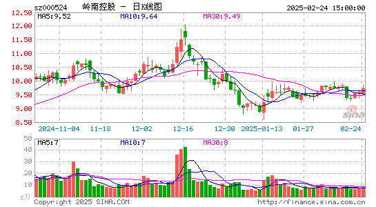 岭南控股