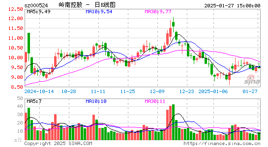 岭南控股