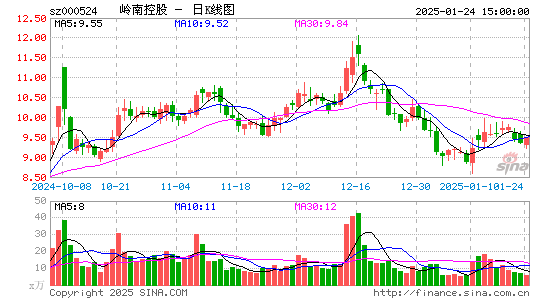 岭南控股