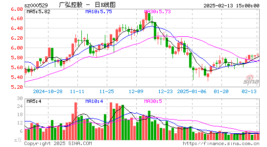 广弘控股