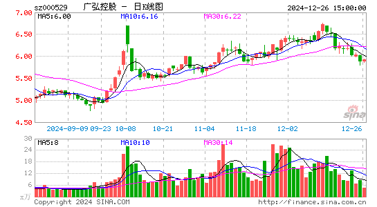 广弘控股