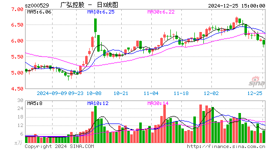 广弘控股