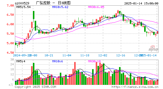 广弘控股