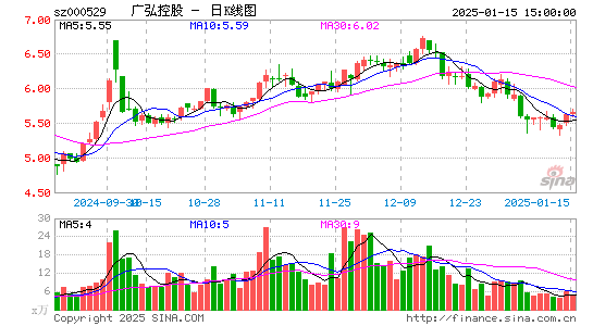 广弘控股