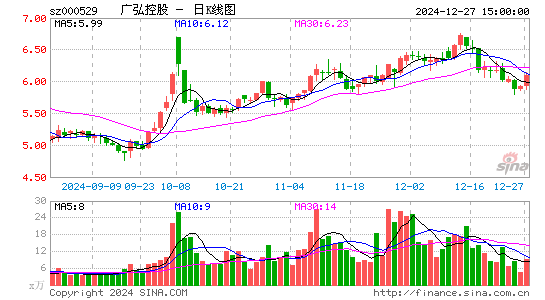 广弘控股