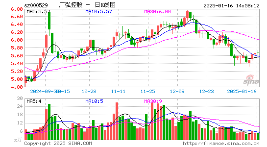 广弘控股