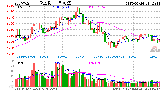 广弘控股