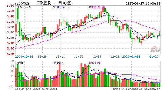 广弘控股