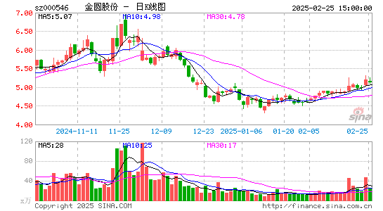 金圆股份