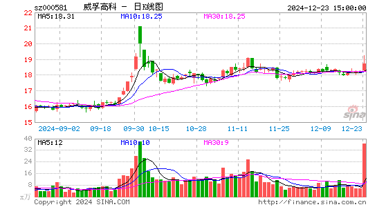 威孚高科