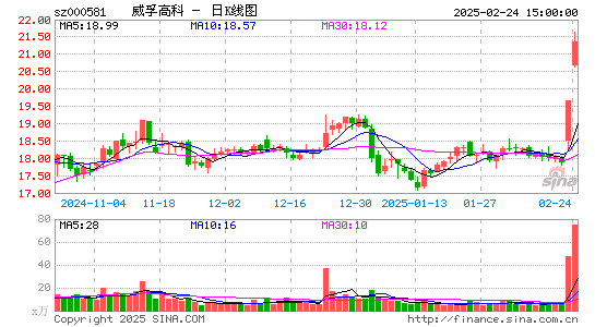 威孚高科