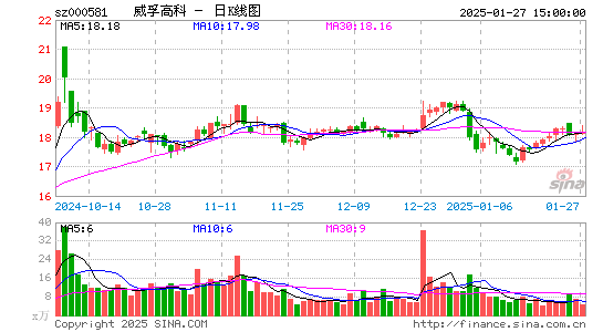 威孚高科