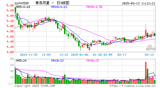 青岛双星