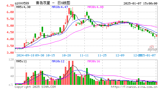 青岛双星