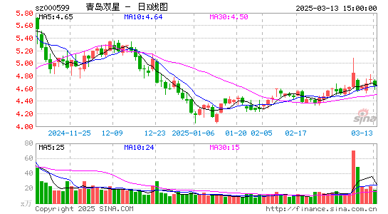 青岛双星