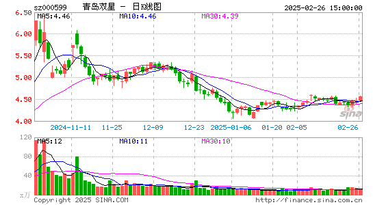 青岛双星