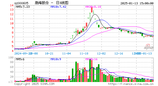 渤海股份