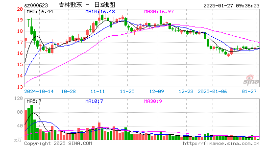 吉林敖东