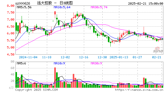 远大控股