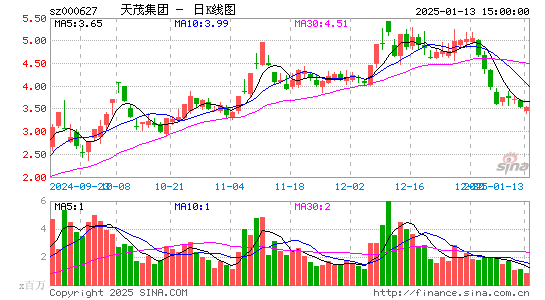 天茂集团