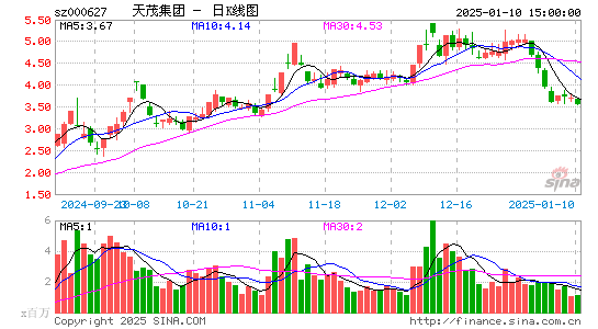 天茂集团