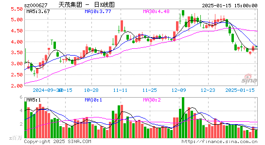 天茂集团