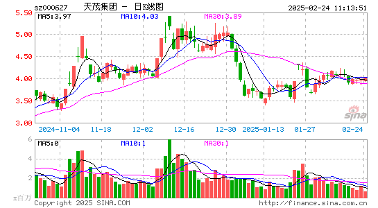 天茂集团