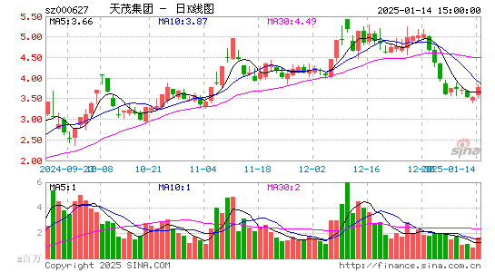 天茂集团