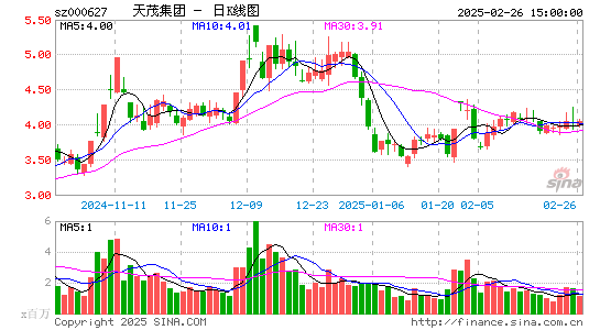 天茂集团