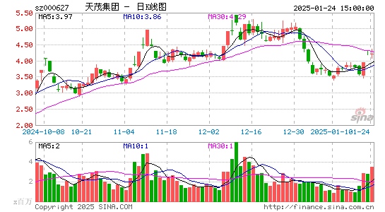 天茂集团