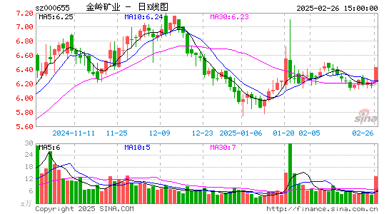 金岭矿业