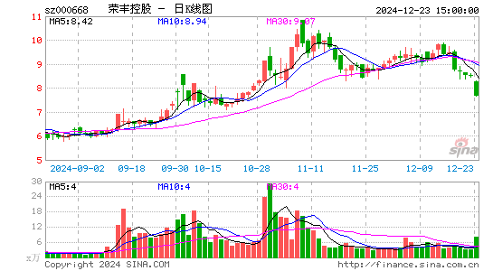 荣丰控股